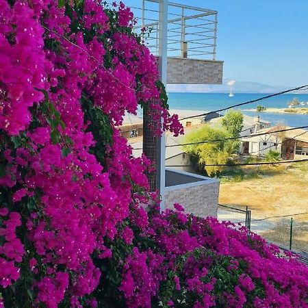 Begonvil Otel Çeşme Εξωτερικό φωτογραφία