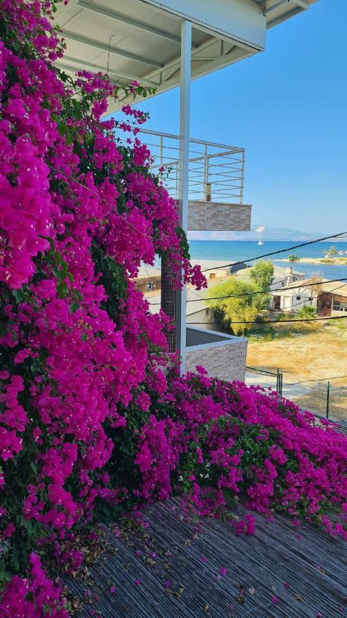 Begonvil Otel Çeşme Εξωτερικό φωτογραφία