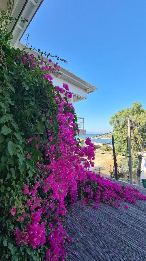 Begonvil Otel Çeşme Εξωτερικό φωτογραφία